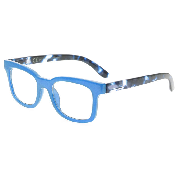 Dachuan Optical DRP127106 China Supplier Fashion Design Plastic Reading Glasses W ( (22)